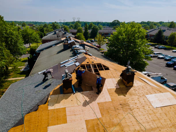 Best Roof Gutter Cleaning  in Braddock, VA