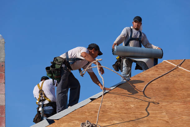 Best Roof Maintenance Services  in Braddock, VA