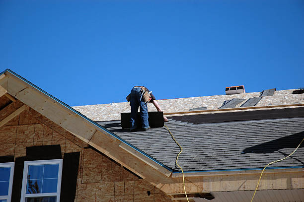 Best Roof Repair Services  in Braddock, VA